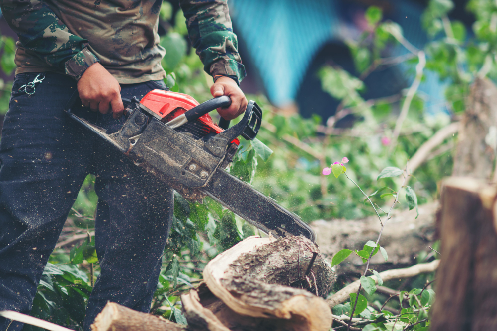 why-are-chainsaws-invented