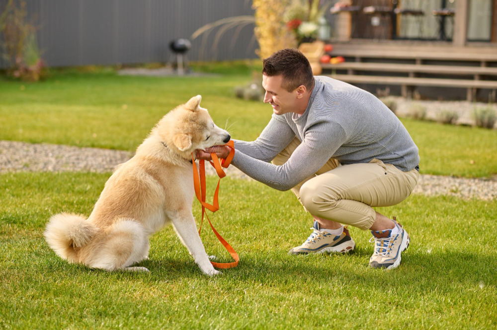 10-pet-training-hacks-every-owner-should-know